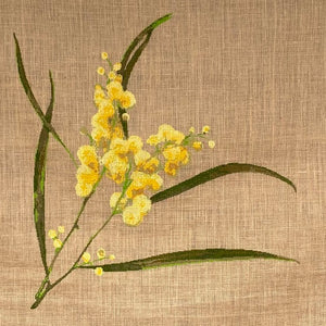wattle needle work