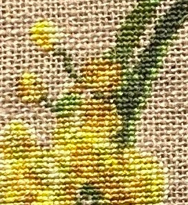 wattle cross stich