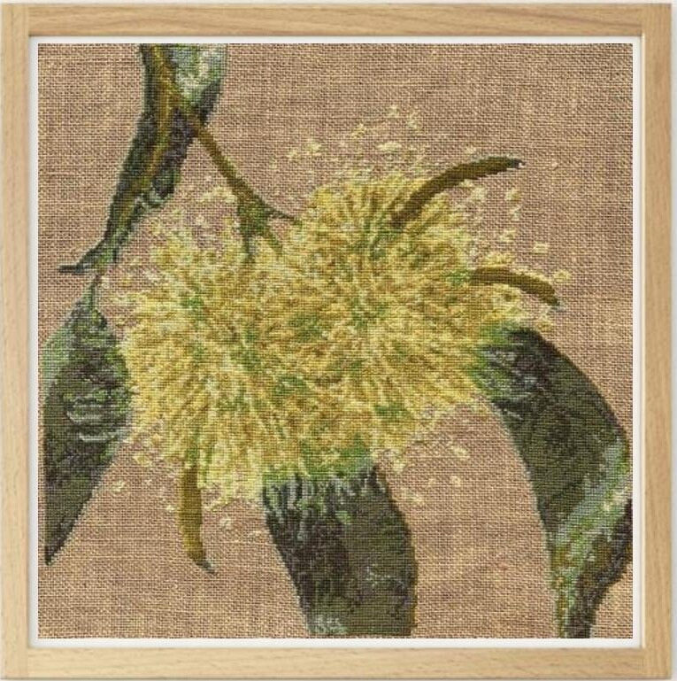 EUCALYPTUS  - cross stitch kit EMB8405