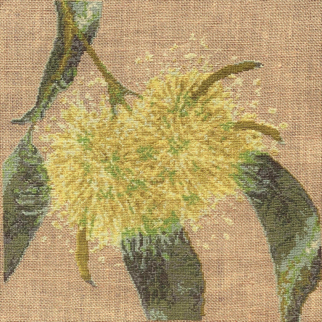 EUCALYPTUS - cross stitch pattern - Anette Eriksson Design
