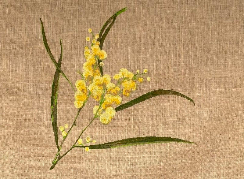 WATTLE large - cross stitch pattern - Anette Eriksson Design
