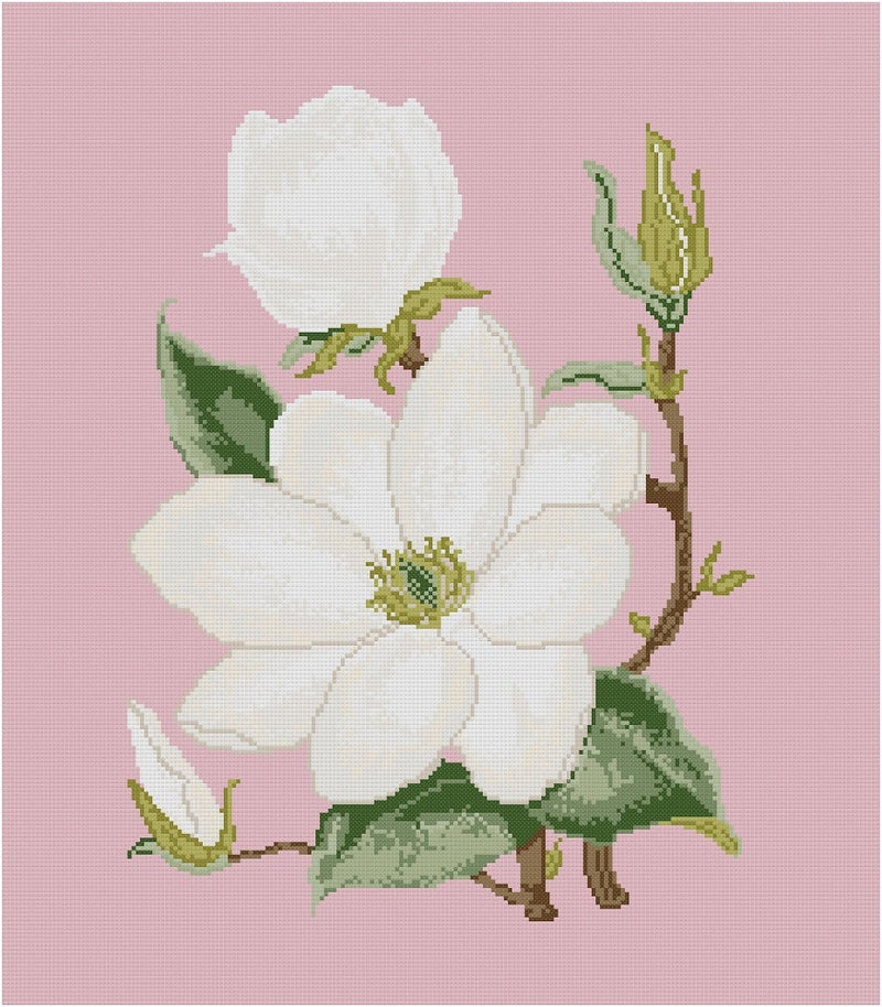 Korsstygnskit, MAGNOLIA, broderimönster, nålspets, korsstygn, anette eriksson, nålspetshantverk, skandinaviskt, svenska, blommor