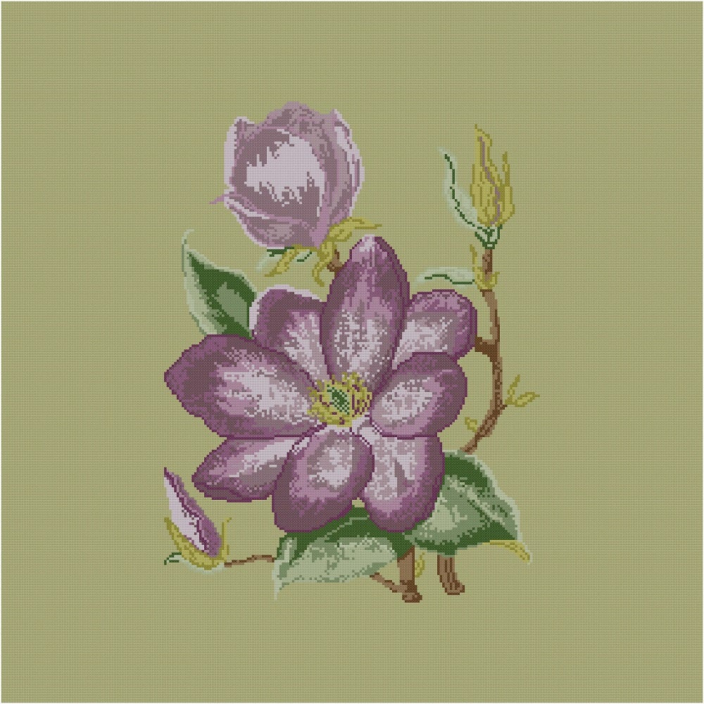 Korsstygnskit, MAGNOLIA, broderimönster, nålspets, korsstygn, anette eriksson, nålspetshantverk, skandinaviskt, svenska, blommor